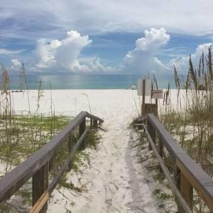 Meet your Posher, Holly